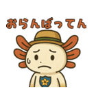 佐賀弁ウーパールーパーのパー子（個別スタンプ：1）