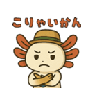 佐賀弁ウーパールーパーのパー子（個別スタンプ：3）