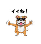 落書きな毎日使えるブルドッグ（個別スタンプ：3）