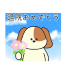 ずっと使える！誕生日/お祝い/イベント（個別スタンプ：20）