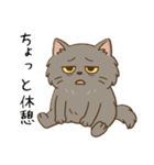 ペルシャ猫のくせつよスタンプ(日常) ②（個別スタンプ：3）