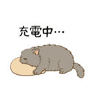 ペルシャ猫のくせつよスタンプ(日常) ②（個別スタンプ：4）