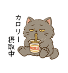ペルシャ猫のくせつよスタンプ(日常) ②（個別スタンプ：6）