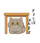 ペルシャ猫のくせつよスタンプ(日常) ②（個別スタンプ：8）