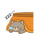ペルシャ猫のくせつよスタンプ(日常) ②（個別スタンプ：12）