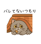 ペルシャ猫のくせつよスタンプ(日常) ②（個別スタンプ：13）