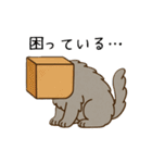 ペルシャ猫のくせつよスタンプ(日常) ②（個別スタンプ：14）
