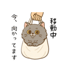 ペルシャ猫のくせつよスタンプ(日常) ②（個別スタンプ：15）