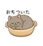 ペルシャ猫のくせつよスタンプ(日常) ②（個別スタンプ：18）