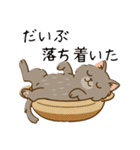ペルシャ猫のくせつよスタンプ(日常) ②（個別スタンプ：19）