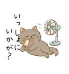 ペルシャ猫のくせつよスタンプ(日常) ②（個別スタンプ：20）