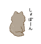 ペルシャ猫のくせつよスタンプ(日常) ②（個別スタンプ：21）