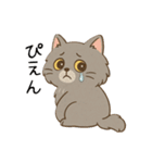 ペルシャ猫のくせつよスタンプ(日常) ②（個別スタンプ：22）