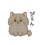 ペルシャ猫のくせつよスタンプ(日常) ②（個別スタンプ：23）