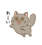 ペルシャ猫のくせつよスタンプ(日常) ②（個別スタンプ：24）