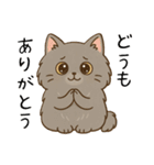ペルシャ猫のくせつよスタンプ(日常) ②（個別スタンプ：26）