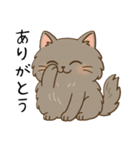 ペルシャ猫のくせつよスタンプ(日常) ②（個別スタンプ：27）
