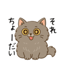ペルシャ猫のくせつよスタンプ(日常) ②（個別スタンプ：31）