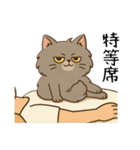 ペルシャ猫のくせつよスタンプ(日常) ②（個別スタンプ：34）