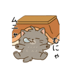 ペルシャ猫のくせつよスタンプ(日常) ②（個別スタンプ：37）