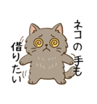 ペルシャ猫のくせつよスタンプ(日常) ②（個別スタンプ：38）