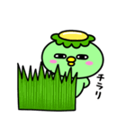 かっぱの寿司（個別スタンプ：32）