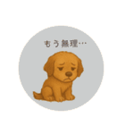 あたたかいクリスチャンスタンプ 犬（個別スタンプ：15）