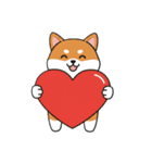 柴犬×コーギー しばコギちゃんの生活（個別スタンプ：1）