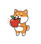 柴犬×コーギー しばコギちゃんの生活（個別スタンプ：2）