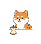 柴犬×コーギー しばコギちゃんの生活（個別スタンプ：3）