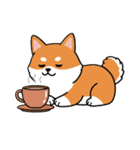 柴犬×コーギー しばコギちゃんの生活（個別スタンプ：7）