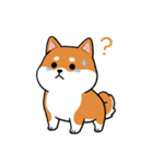 柴犬×コーギー しばコギちゃんの生活（個別スタンプ：15）