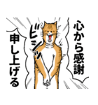 どうぶつが大好き01_pal_ver6学生向け（個別スタンプ：2）