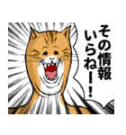 どうぶつが大好き01_pal_ver6学生向け（個別スタンプ：13）