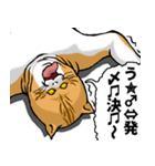 どうぶつが大好き01_pal_ver6学生向け（個別スタンプ：23）