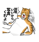 どうぶつが大好き01_pal_ver6学生向け（個別スタンプ：27）