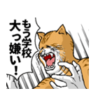 どうぶつが大好き01_pal_ver6学生向け（個別スタンプ：37）