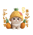 パイナップル帽 可愛いスコティッシュ猫（個別スタンプ：5）