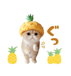 パイナップル帽 可愛いスコティッシュ猫（個別スタンプ：7）