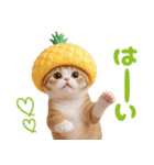 パイナップル帽 可愛いスコティッシュ猫（個別スタンプ：11）