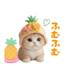 パイナップル帽 可愛いスコティッシュ猫（個別スタンプ：12）