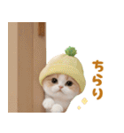 パイナップル帽 可愛いスコティッシュ猫（個別スタンプ：15）