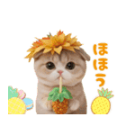 パイナップル帽 可愛いスコティッシュ猫（個別スタンプ：17）