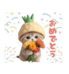 パイナップル帽 可愛いスコティッシュ猫（個別スタンプ：18）