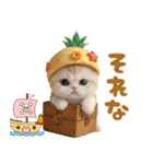 パイナップル帽 可愛いスコティッシュ猫（個別スタンプ：20）