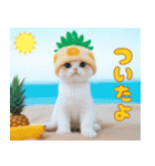 パイナップル帽 可愛いスコティッシュ猫（個別スタンプ：22）