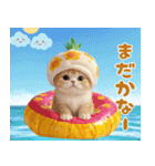 パイナップル帽 可愛いスコティッシュ猫（個別スタンプ：23）