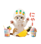 パイナップル帽 可愛いスコティッシュ猫（個別スタンプ：28）