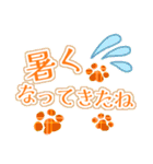 初夏ビタミンカラーの肉球（個別スタンプ：11）
