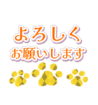 初夏ビタミンカラーの肉球（個別スタンプ：22）